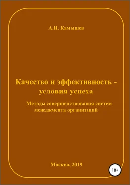 Александр Камышев Качество и эффективность – условия успеха. Методы совершенствования систем менеджмента организаций обложка книги