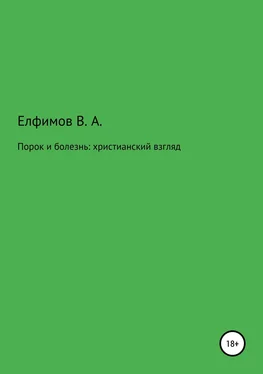 Вадим Елфимов Порок и болезнь: христианский взгляд обложка книги