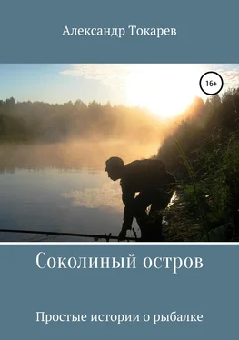 Александр Токарев Соколиный остров обложка книги