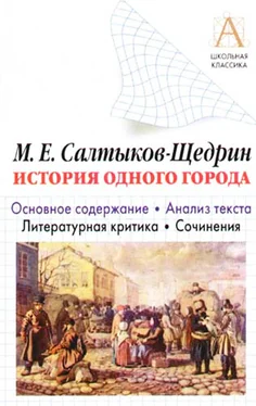 Игорь Родин М. Е. Салтыков-Щедрин «История одного города». Краткое содержание. Анализ текста. Литературная критика. Сочинения обложка книги