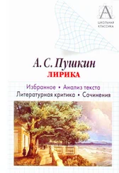 Игорь Родин - А. С. Пушкин Лирика. Избранное. Анализ текста. Литературная критика. Сочинения.