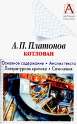 Игорь Родин - А. П. Платонов «Котлован». Основное содержание. Анализ текста. Литературная критика. Сочинения