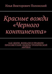 Илья Полонский - Красные вожди «Черного континента». Как жили, воевали и правили просоветские лидеры тропической Африки