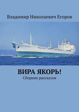 Владимир Егоров Вира якорь! обложка книги