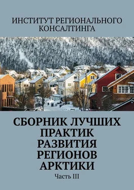 Александра Потураева Сборник лучших практик развития регионов Арктики. Часть III обложка книги