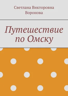 Светлана Воронова Путешествие по Омску обложка книги