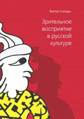 Виктор Снесарь - Зрительное восприятие в русской культуре. Книга 1