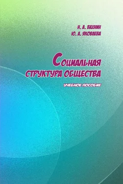 Николай Вахнин Социальная структура общества обложка книги