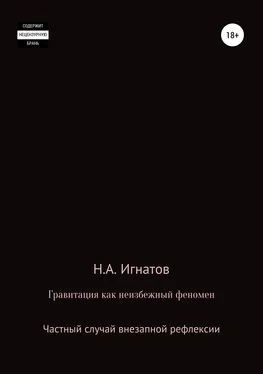 Николай Игнатов Гравитация как неизбежный феномен. Частный случай внезапной рефлексии обложка книги