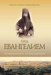 Епископ Михаил (Грибановский) - Над Евангением. Размышления, истолкования