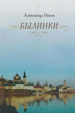 Александр Раков Былинки обложка книги