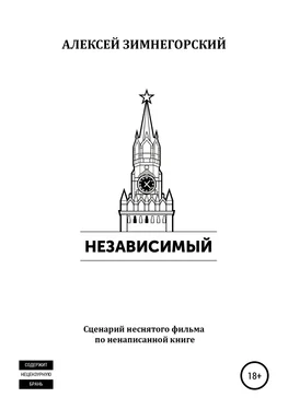 Алексей Зимнегорский Независимый обложка книги