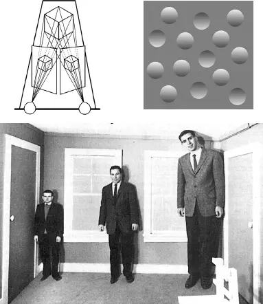 Рис 1214 по порядку Эффект 3D восприятия Оптическая иллюзия яйца или - фото 9
