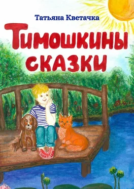 Татьяна Кветачка Тимошкины сказки обложка книги