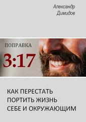 Александр Димидов - Поправка 3:17. Как перестать портить жизнь себе и окружающим