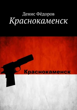 Денис Фёдоров Краснокаменск обложка книги