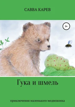 Савва Карев Гука и шмель обложка книги