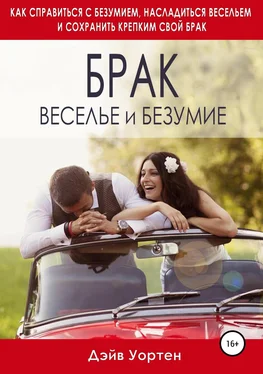 Дэйв Уортен Брак, веселье и безумие обложка книги