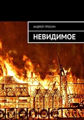 Андрей Просин - Невидимое