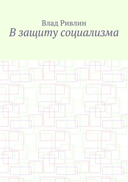 Влад Ривлин В защиту социализма обложка книги