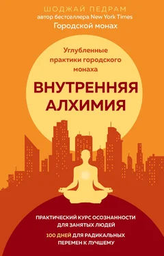 Педрам Шоджай Внутренняя алхимия обложка книги