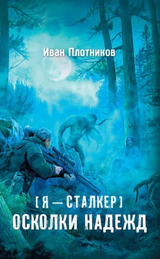 Иван Плотников Осколки надежд обложка книги