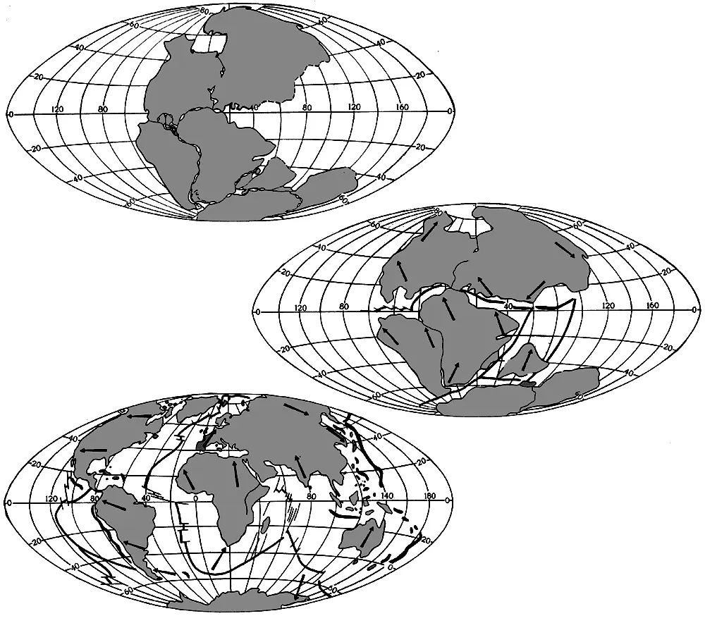 Движение материков То что материки некогда составляли одно целое или - фото 2