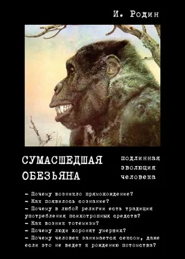 Игорь Родин Сумасшедшая обезьяна (подлинная эволюция человека) обложка книги