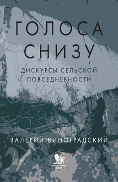 Валерий Виноградский «Голоса снизу»: дискурсы сельской повседневности обложка книги