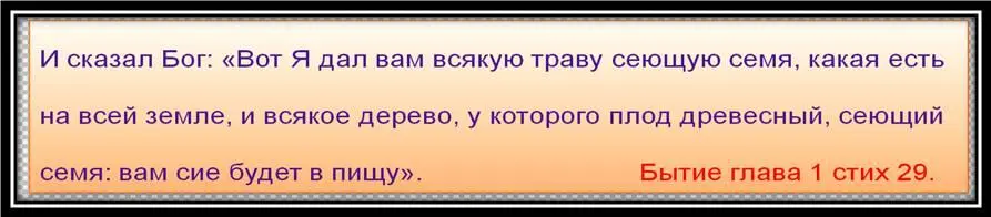 Древние люди хорошо знали эти Божьи наставления поэтому и жили по 800 900 - фото 1