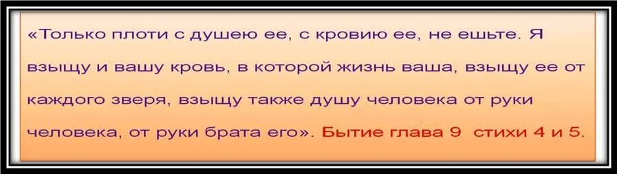 Древние люди хорошо знали эти Божьи наставления поэтому и жили по 800 900 - фото 2