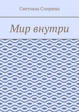 Светлана Спирина Мир внутри обложка книги