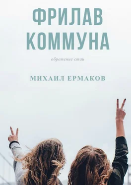 Михаил Ермаков Фрилав коммуна обложка книги