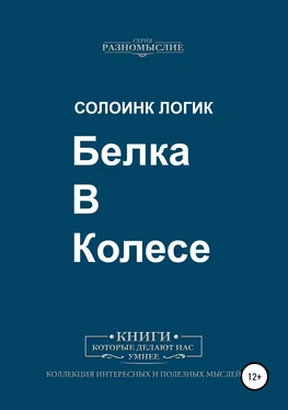 Солоинк Логик Белка в колесе обложка книги