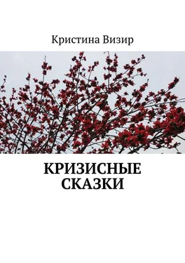 Кристина Визир Кризисные сказки обложка книги