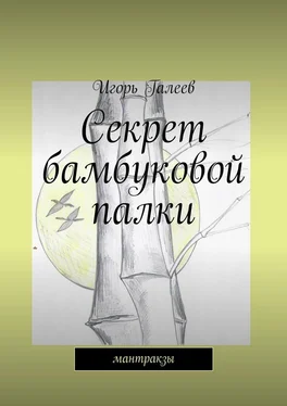 Игорь Галеев Секрет бамбуковой палки. мантракзы обложка книги