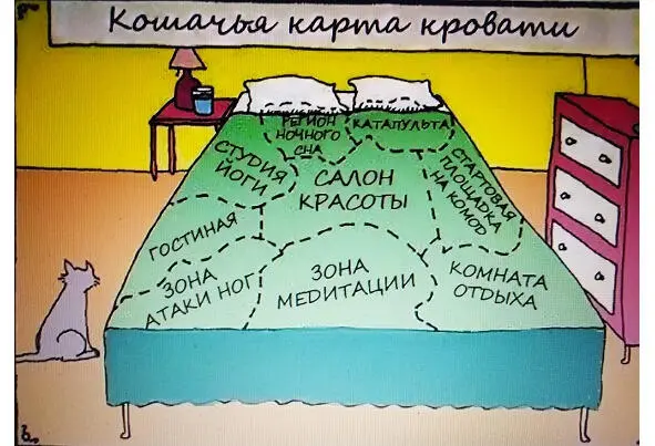 Большая кровать на которой написано о чём её хозяин во сне может мечтать - фото 91