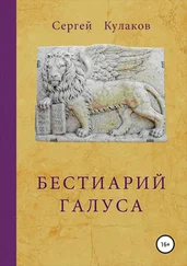 Сергей Кулаков - Бестиарий Галуса