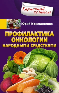 Юрий Константинов Профилактика онкологии народными средствами обложка книги