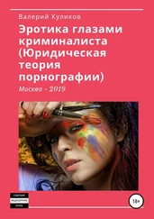 Валерий Куликов - «Эротика глазами криминалиста (Юридическая теория порнографии)»