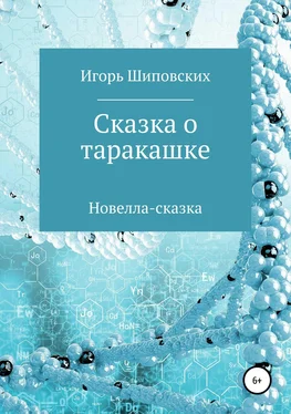 Игорь Шиповских Сказка о таракашке обложка книги