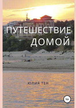 Юлия Тен Путешествие домой обложка книги