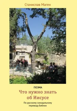 Станислав Маген Что нужно знать об Иисусе? обложка книги