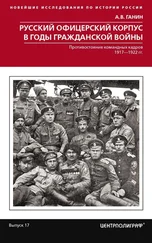 Андрей Ганин - Русский офицерский корпус в годы Гражданской войны. Противостояние командных кадров. 1917–1922 гг.