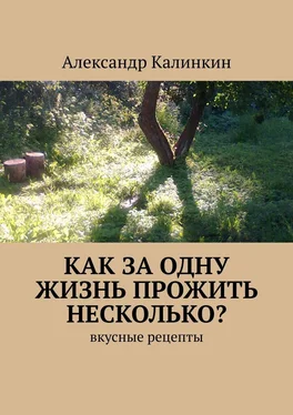 Александр Калинкин Как за одну жизнь прожить несколько? Вкусные рецепты обложка книги