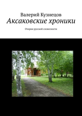 Валерий Кузнецов Аксаковские хроники. Очерки русской словесности обложка книги