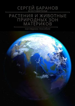 Сергей Баранов Растения и животные природных зон материков. Наглядное пособие обложка книги