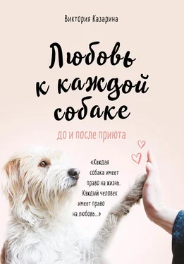 Виктория Казарина Любовь к каждой собаке обложка книги