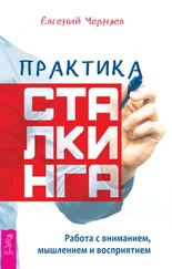 Евгений Черняев - Практика сталкинга. Работа с вниманием, мышлением и восприятием