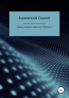 Сергей Каневский Защита авторских прав в сети Интернет обложка книги